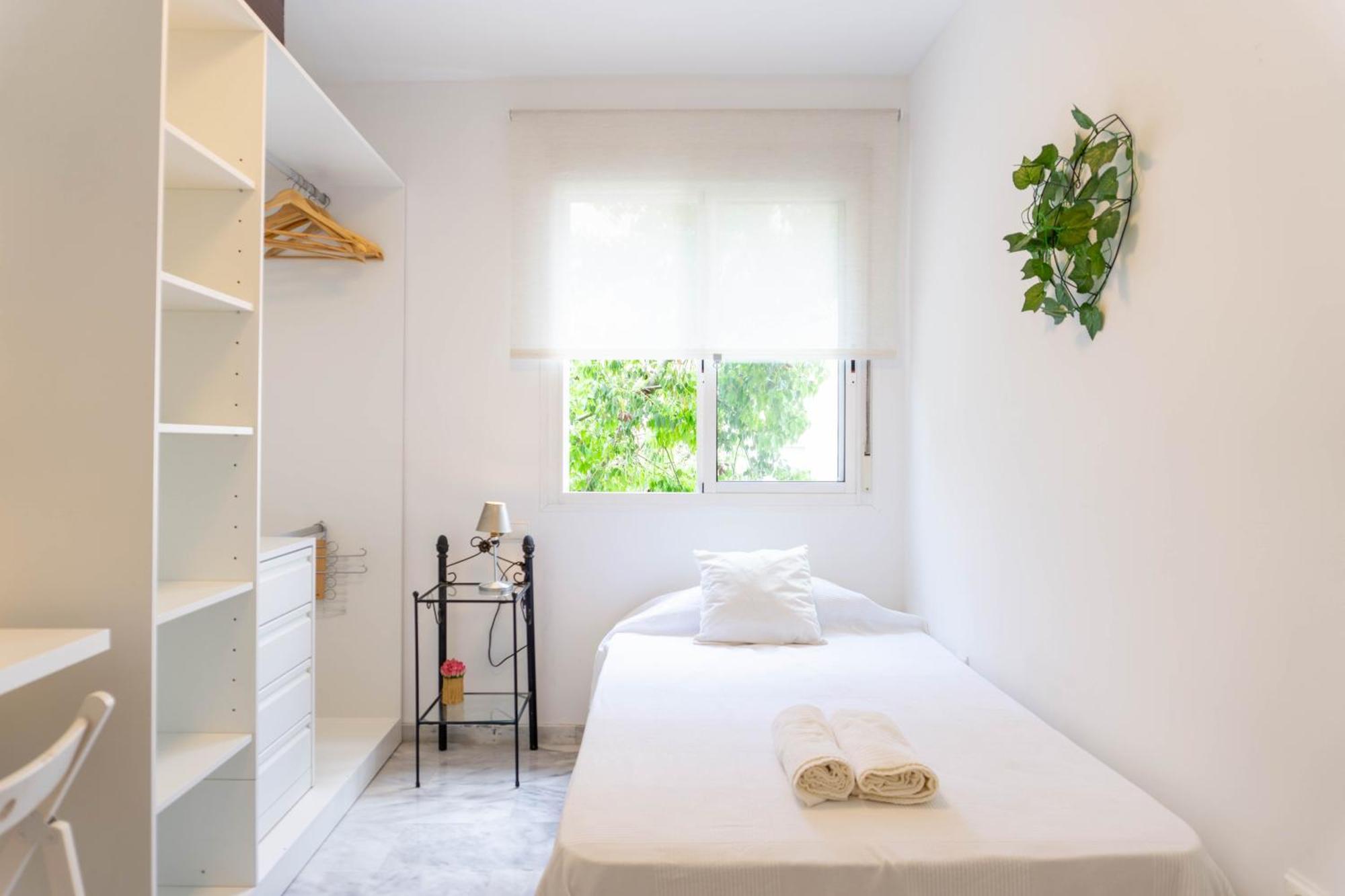 Apartamento Pelayo マラガ エクステリア 写真